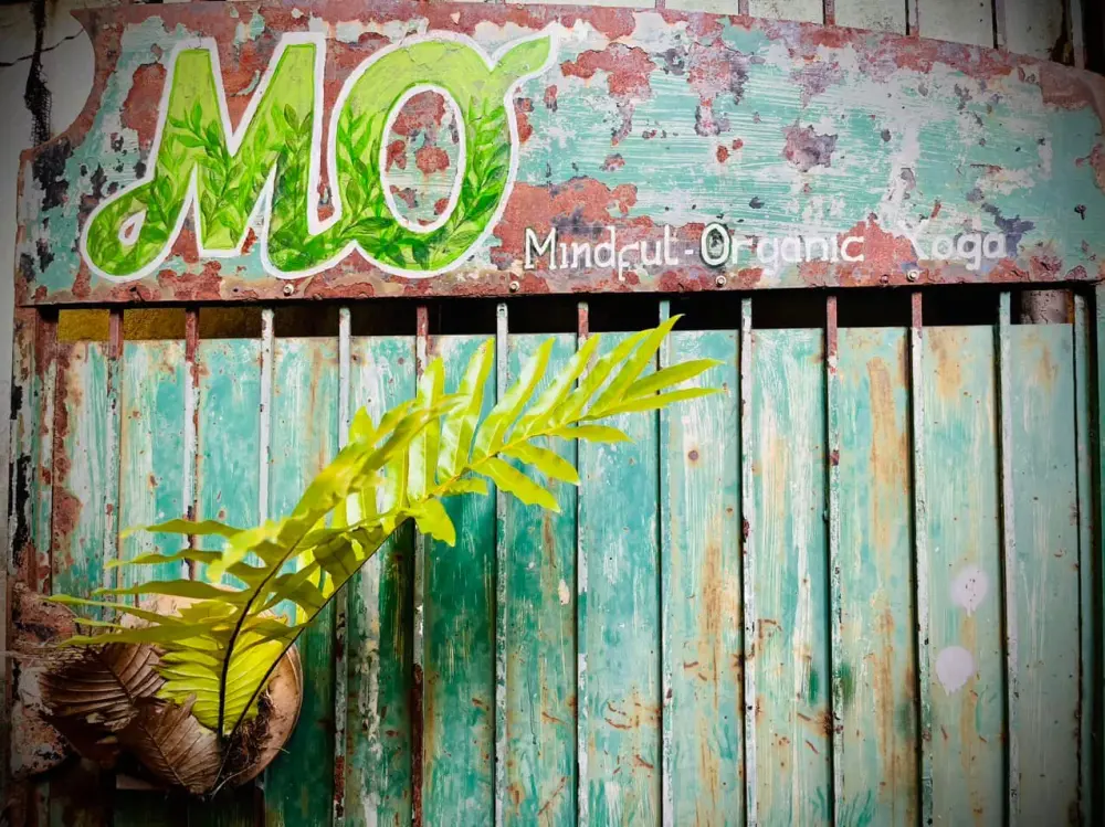 Bảng hiệu MƠ – Mindful Original Yoga bên tường xanh